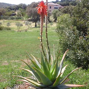 Guest house Valverde Di Naitana Rita